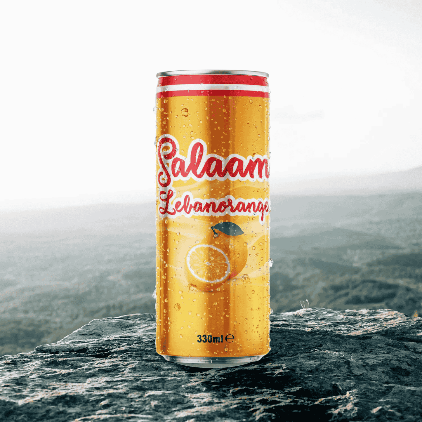 Salaam Cola | 1 Can